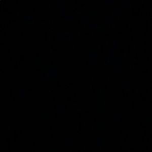 Meet your Posher, Alaina